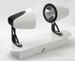 Настенно-потолочный светильник Lussole LSN-4101-02 купить с доставкой по России