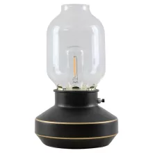 Интерьерная настольная лампа Anchorage LSP-0569 купить с доставкой по России