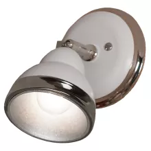 Настенно-потолочный светильник Lussole LSN-6201-01 купить с доставкой по России