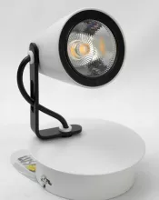 Настенно-потолочный светильник Lussole LSN-4101-01 купить с доставкой по России