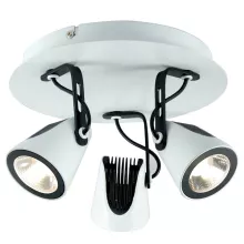 Настенно-потолочный светильник Lussole LSN-4101-03 купить с доставкой по России