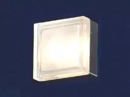 Настенно-потолочный светильник Lussole LSA-8101-02 купить с доставкой по России